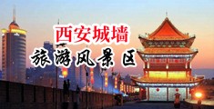 美女操逼啊啊啊中国陕西-西安城墙旅游风景区