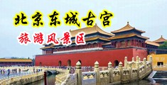 黑吊操中国美女小骚逼中国北京-东城古宫旅游风景区